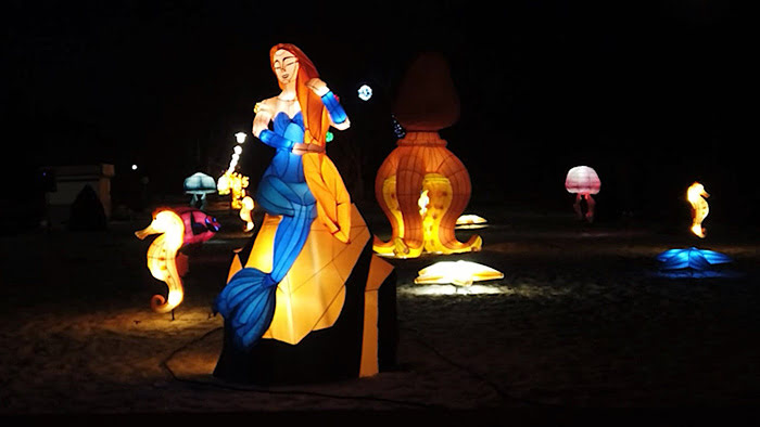 Фестиваль волшебных фонарей (Минск, Ботанический сад, 2022) - фото 4